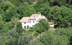La Cabieda - Junto al Río Cañamares - ideal para grupos y familias